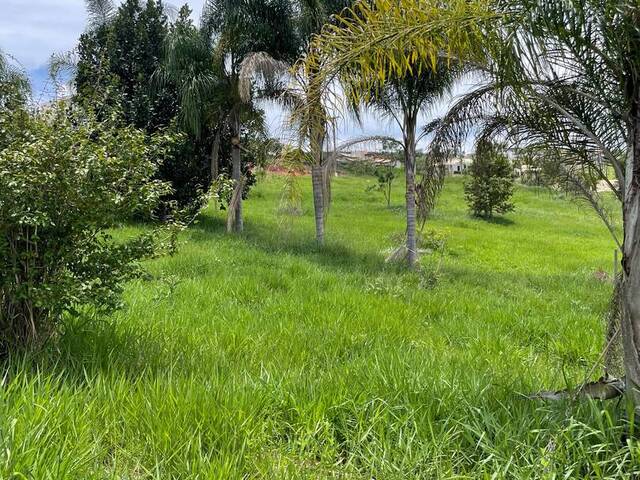 #110 - Área para Venda em Caçapava - SP - 3