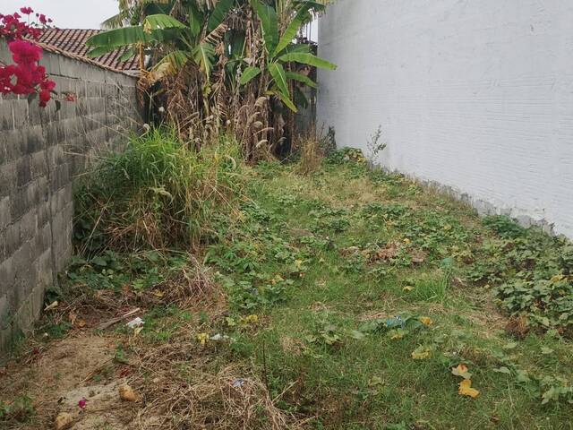 #154 - Área para Venda em Pindamonhangaba - SP - 1